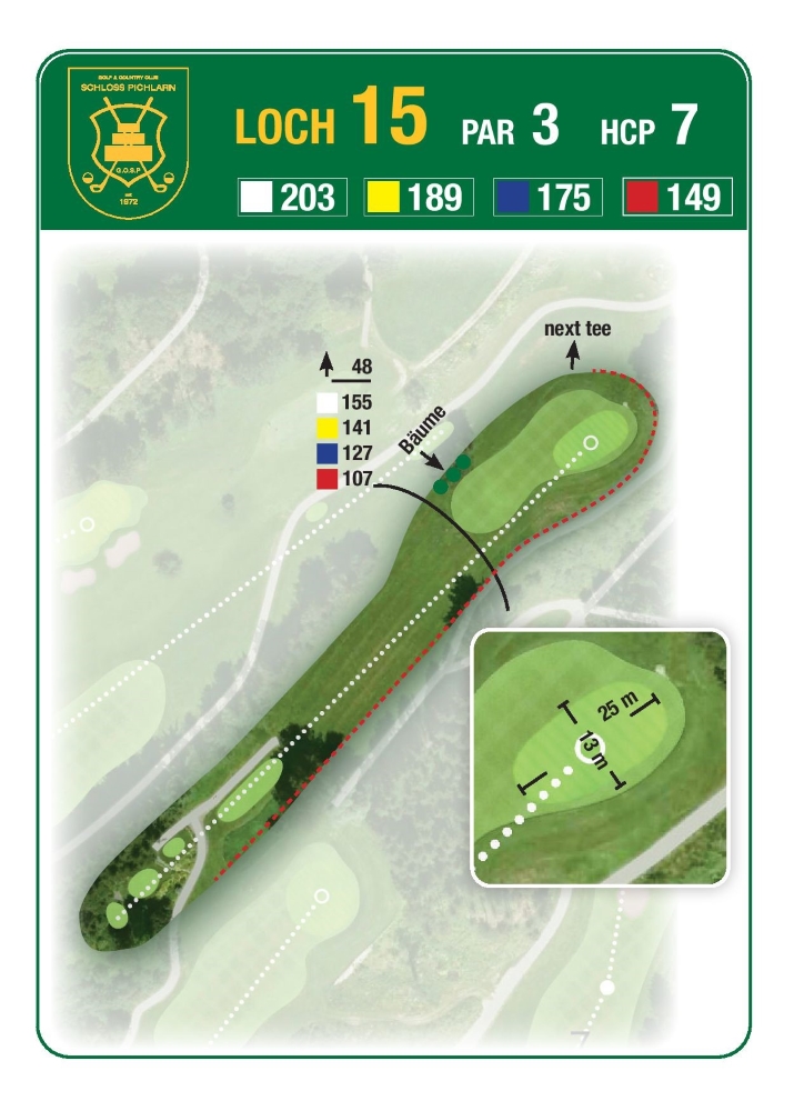 Grafik: Loch 15 am Golf & Country Club Schloss Pichlarn